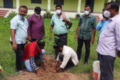Plantation by Alumni at College